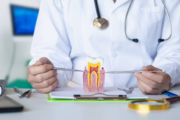 Best Emergency Care for Gum Disease in Pittston, PA